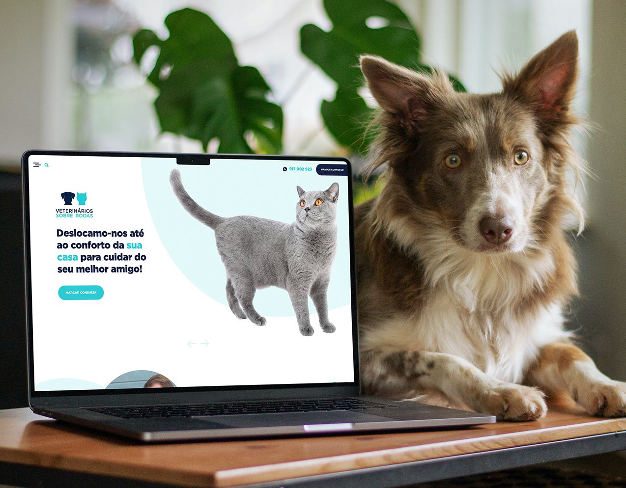 Veterinários Sobre Rodas